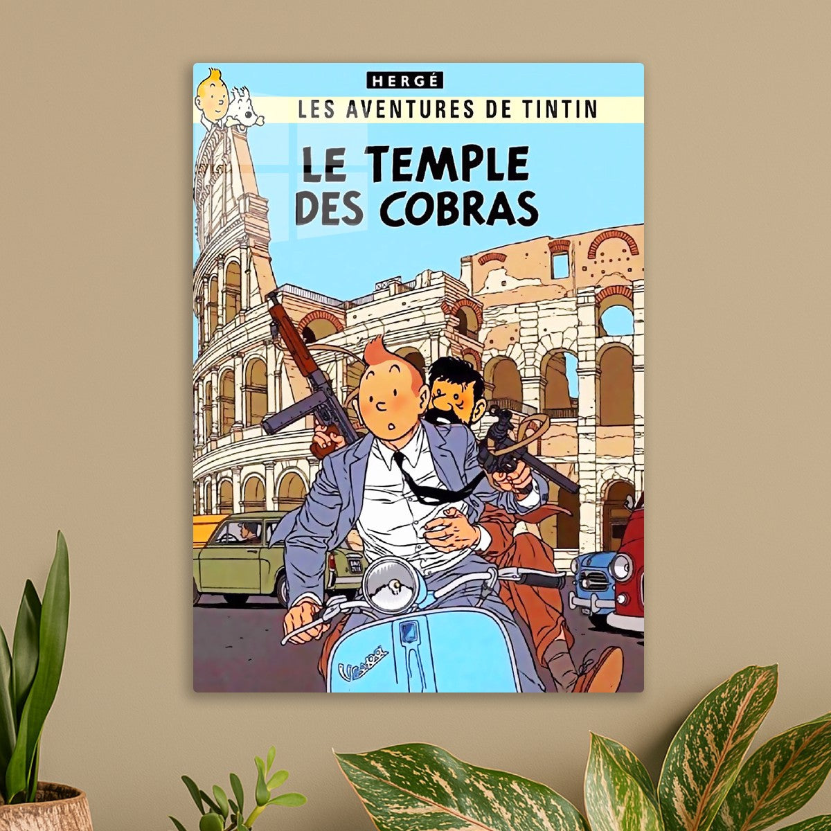 Tintin