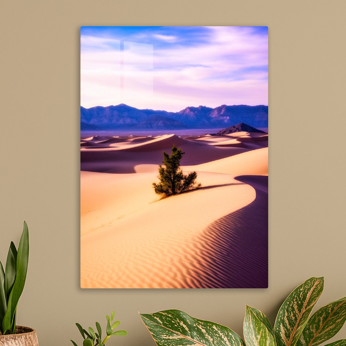 Desert Breeze & Color