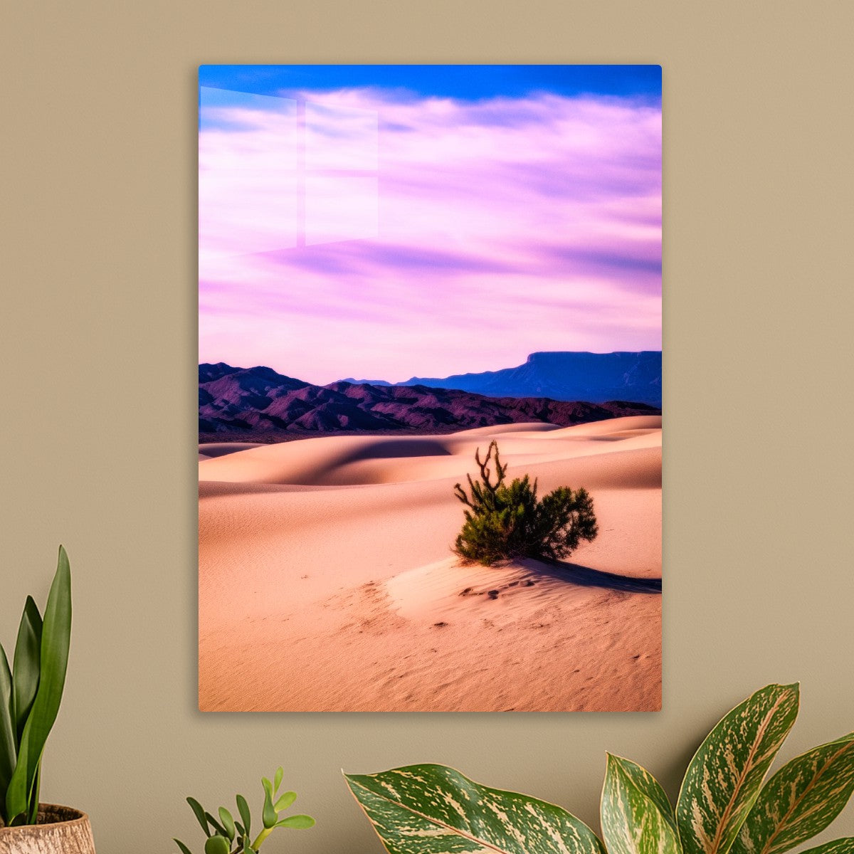 Solitude in the Sand