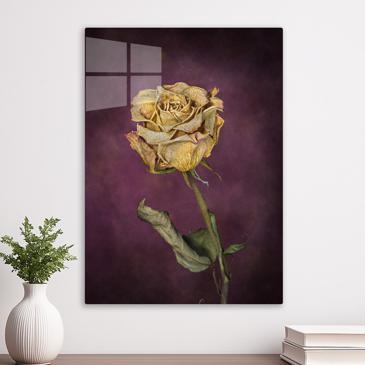 Dried Rose Still Life