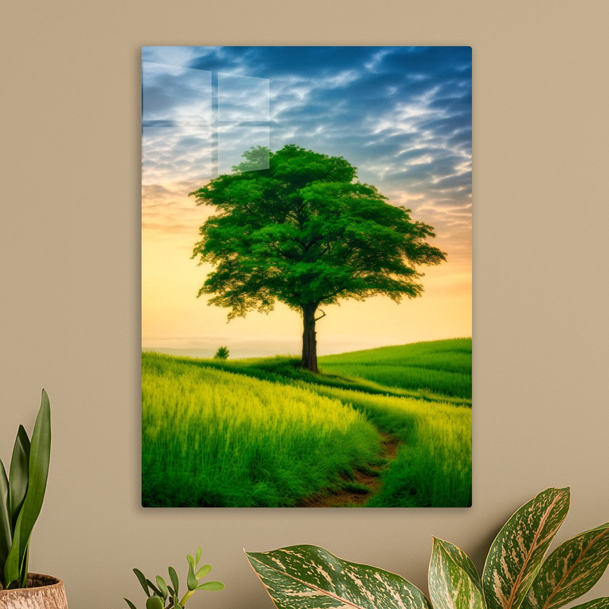 Lone Tree at Golden Hour