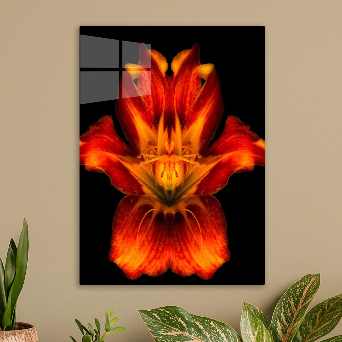 Fiery Symmetry Bloom