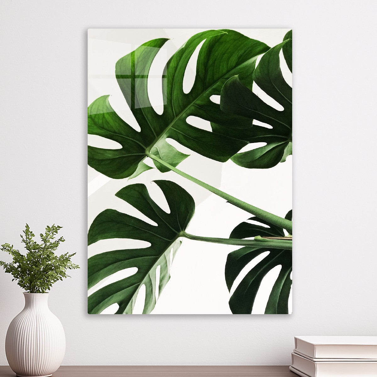 Monstera leaves