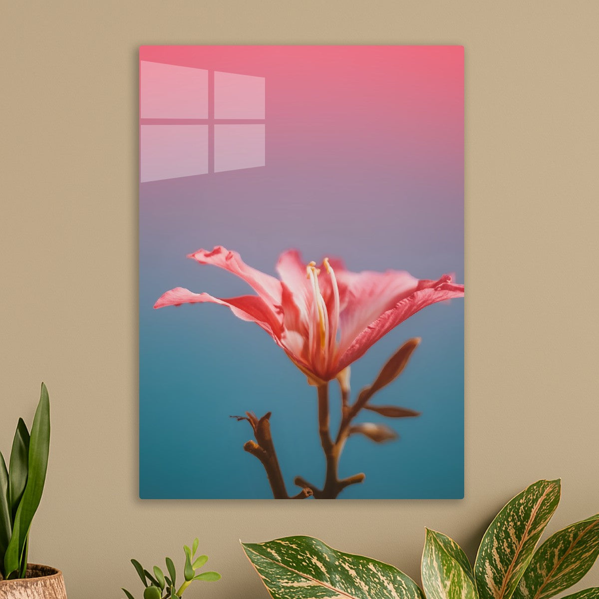 Pink lily on gradient