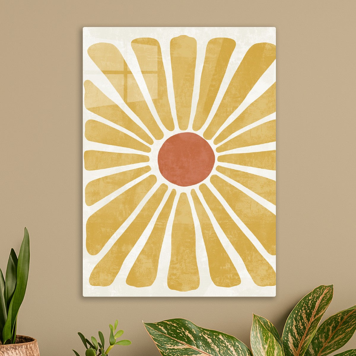 Radiant Sun Daisy