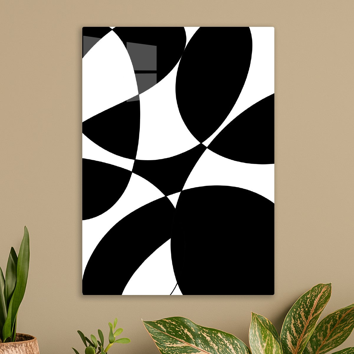 Bold Black Shape Swirl