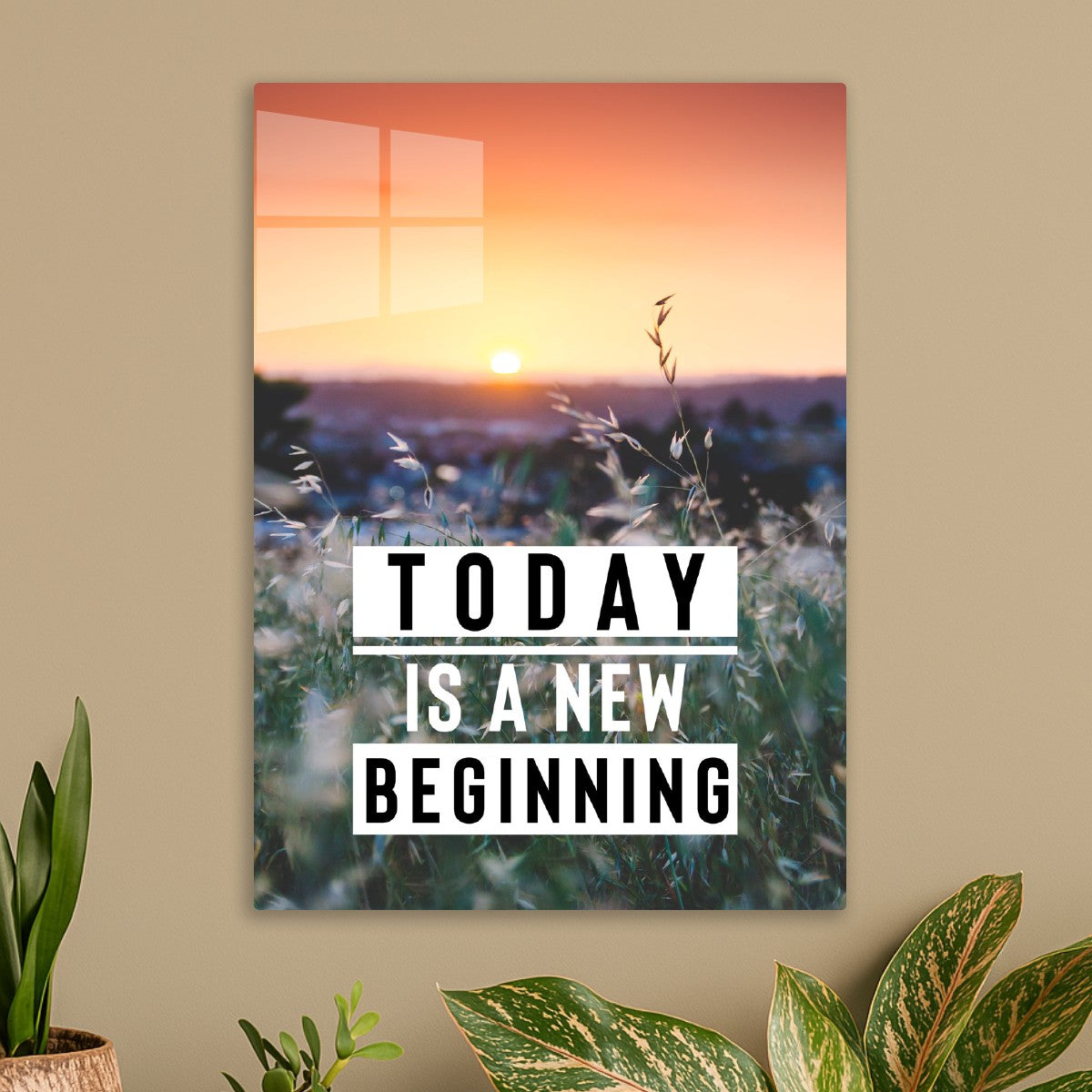 New Beginning Today