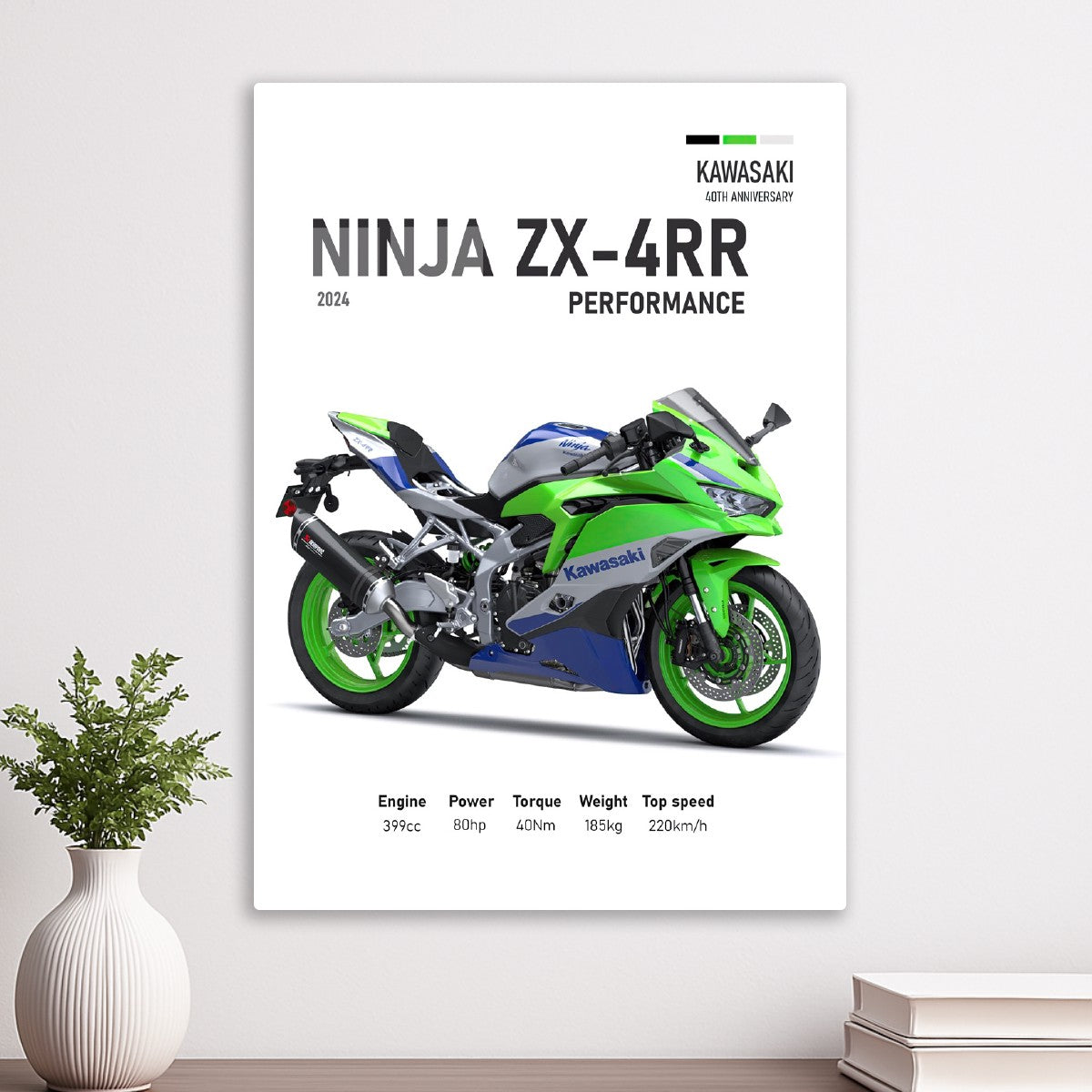 Kawasaki Ninja ZX4RR Perfomanc
