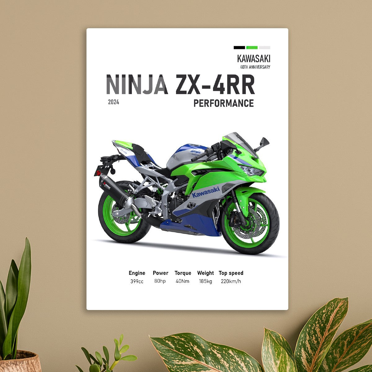 Kawasaki Ninja ZX4RR Perfomanc