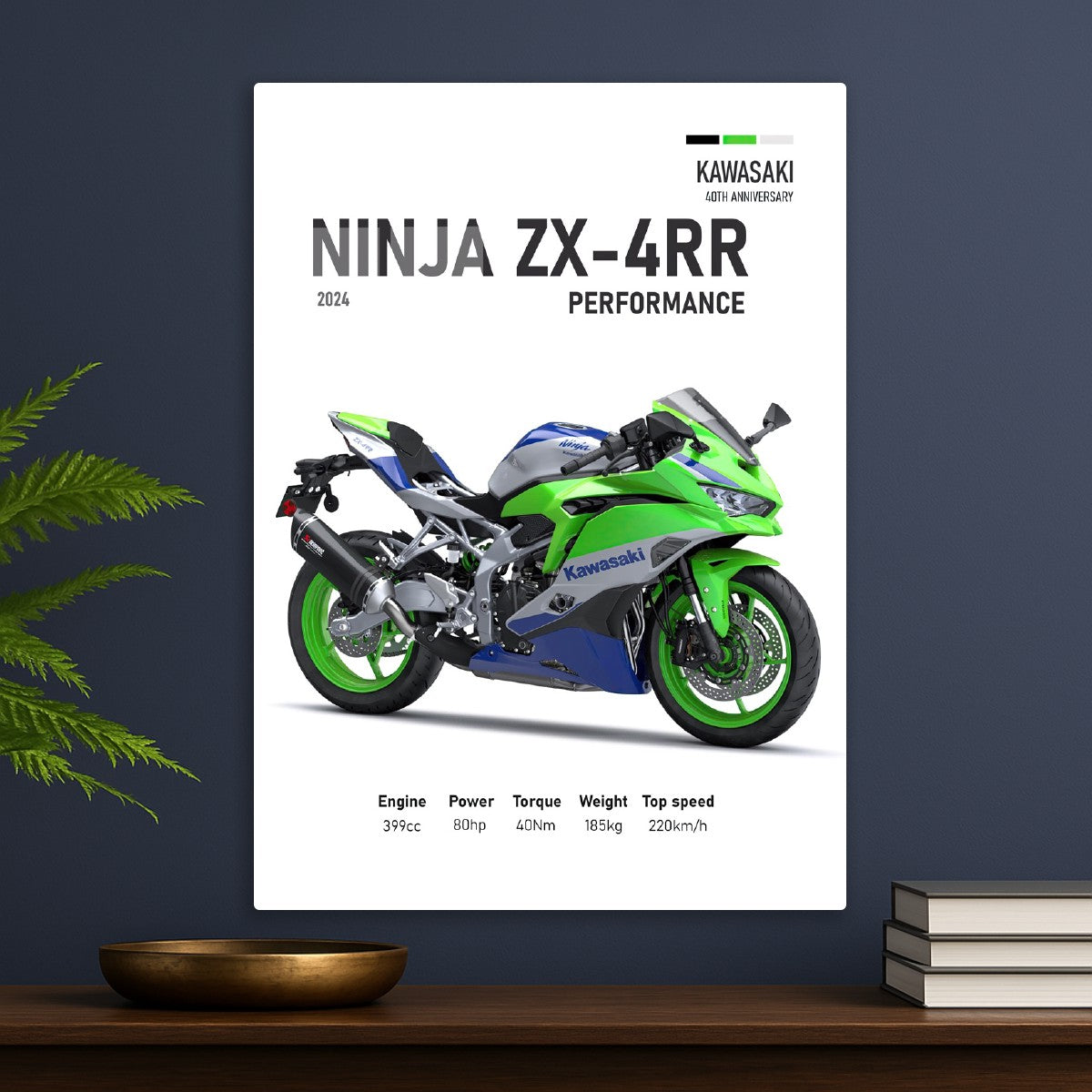 Kawasaki Ninja ZX4RR Perfomanc