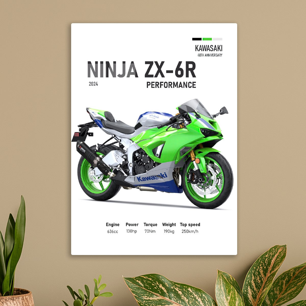 Kawasaki Ninja ZX-6R Perfomanc