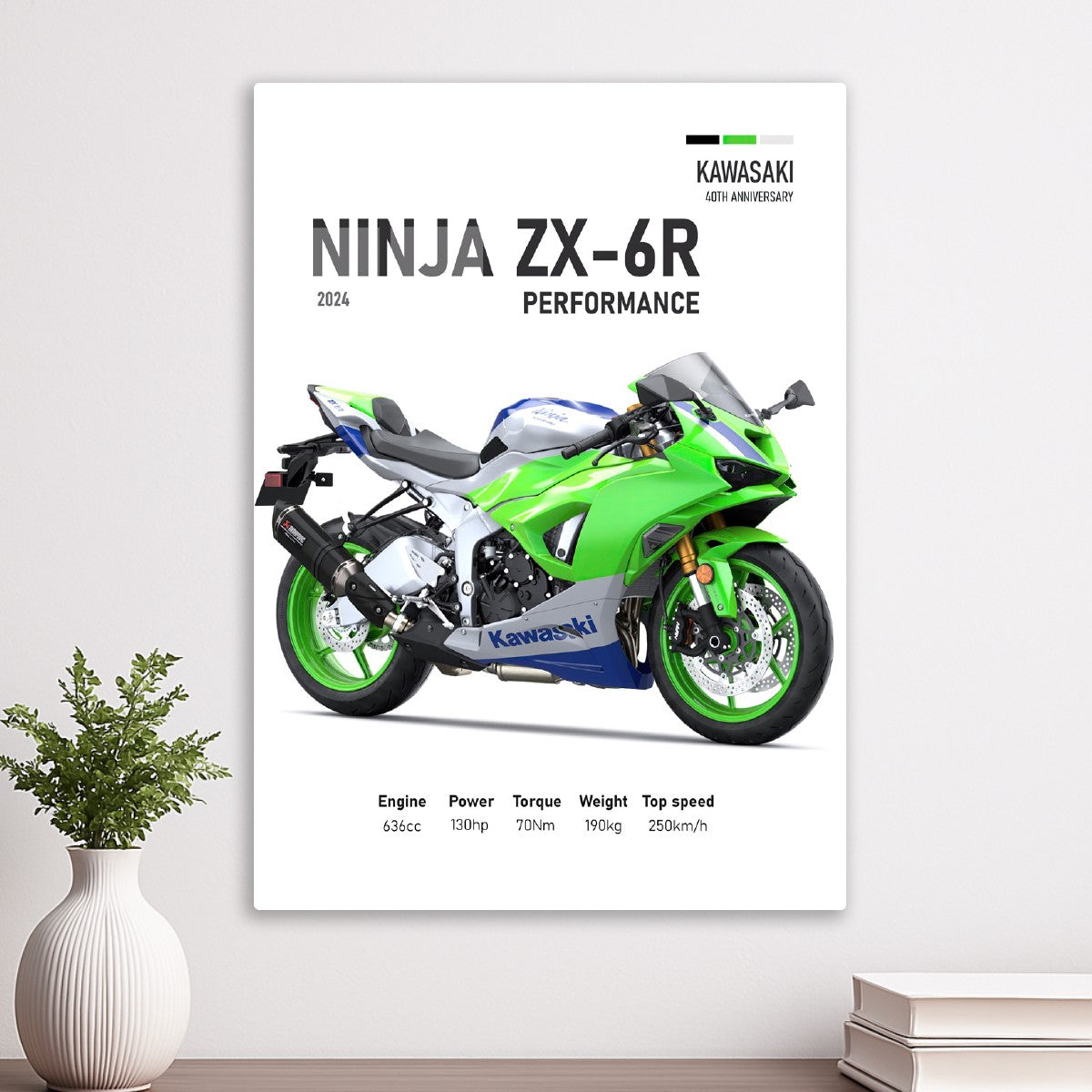 Kawasaki Ninja ZX-6R Perfomanc