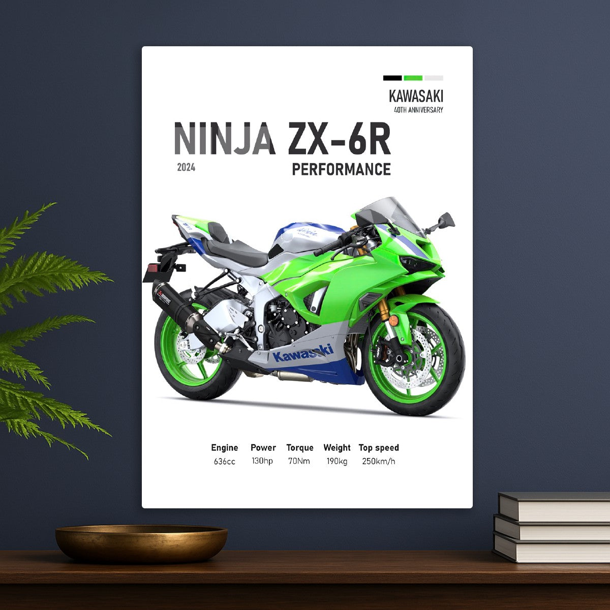 Kawasaki Ninja ZX-6R Perfomanc