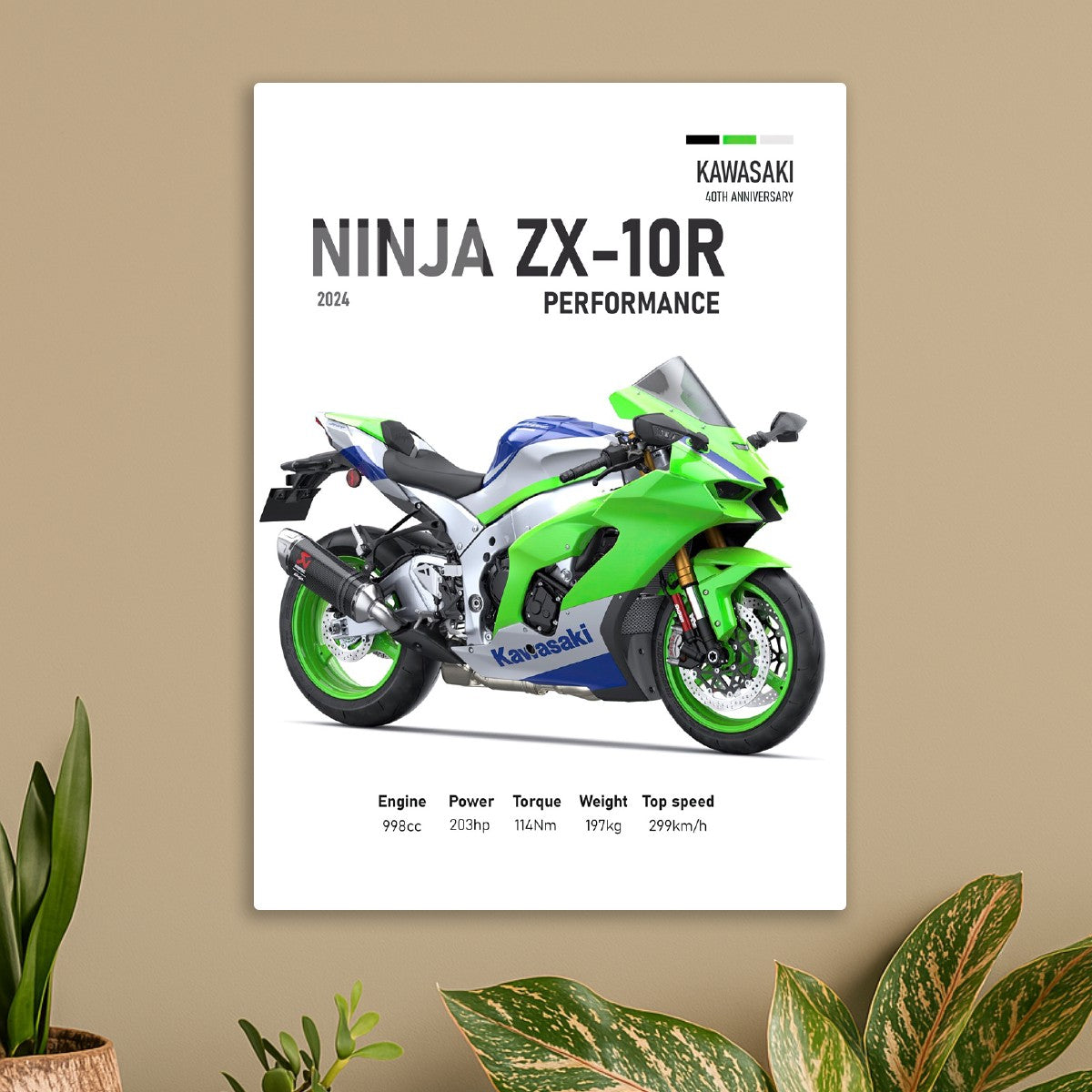 Kawasaki Nunja ZX-10R Perfomac