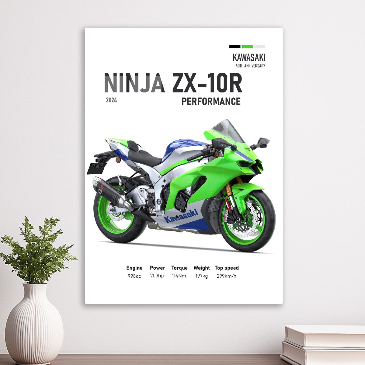 Kawasaki Nunja ZX-10R Perfomac