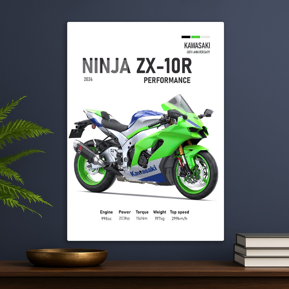 Kawasaki Nunja ZX-10R Perfomac