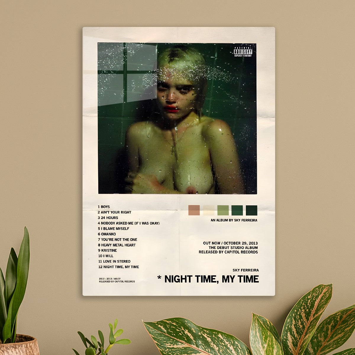 Sky Ferreira