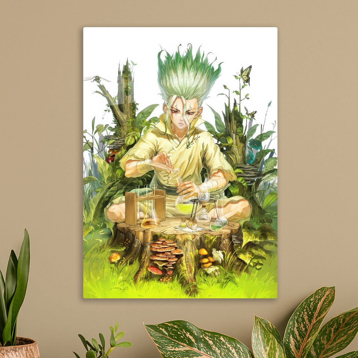 dr. stone