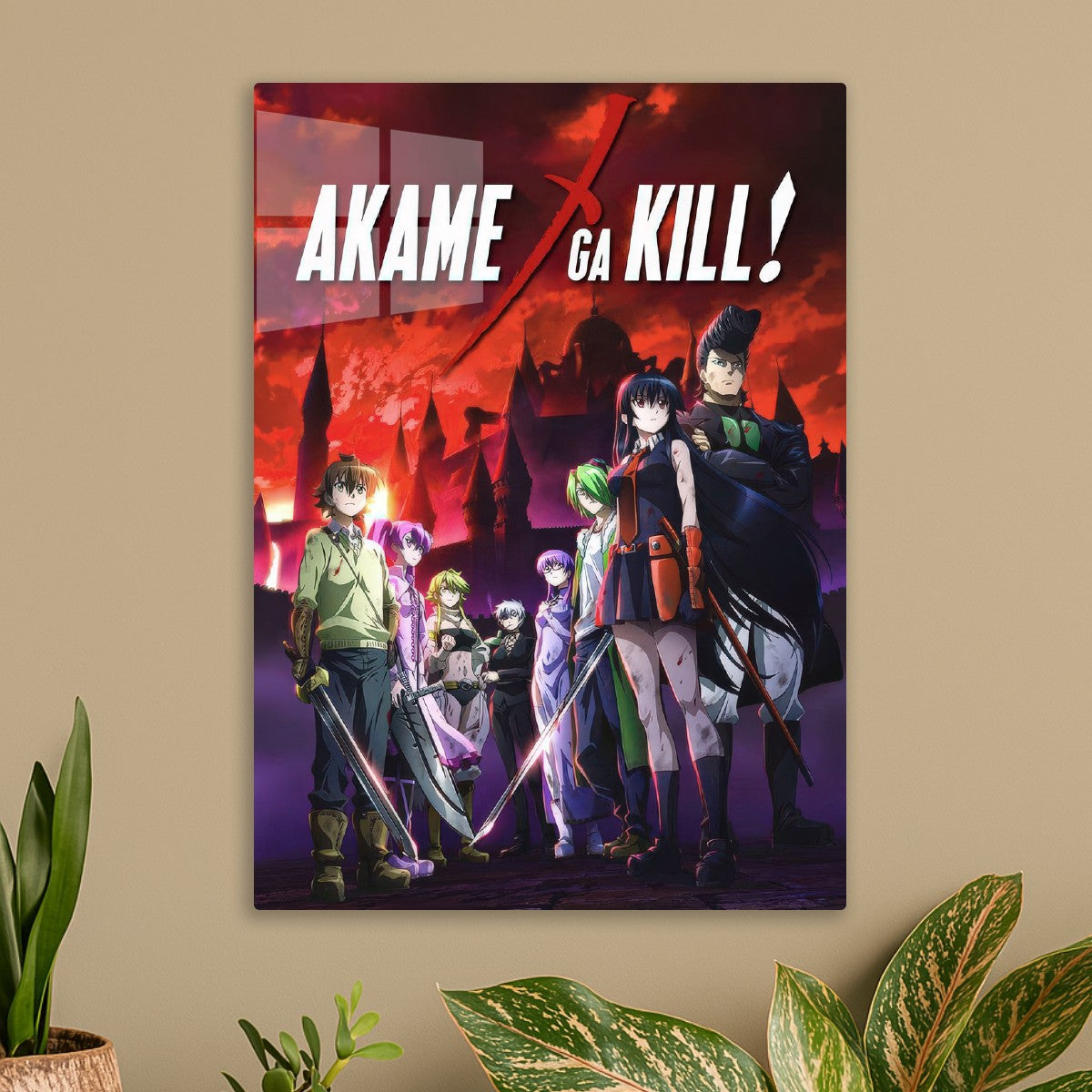 akame ga kill