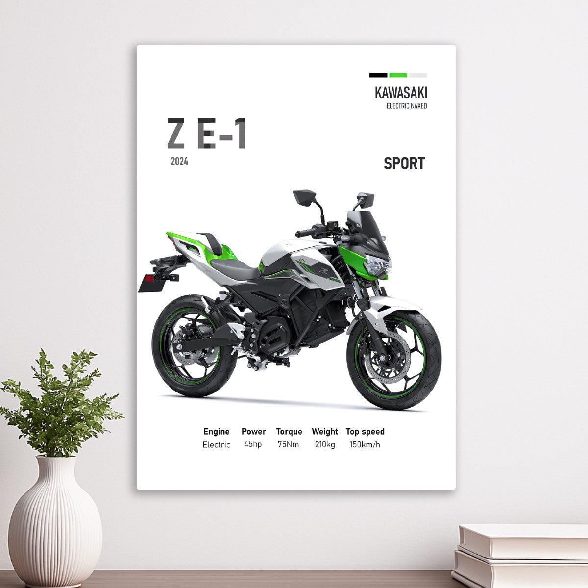 Kawasaki Z E-1 Sport
