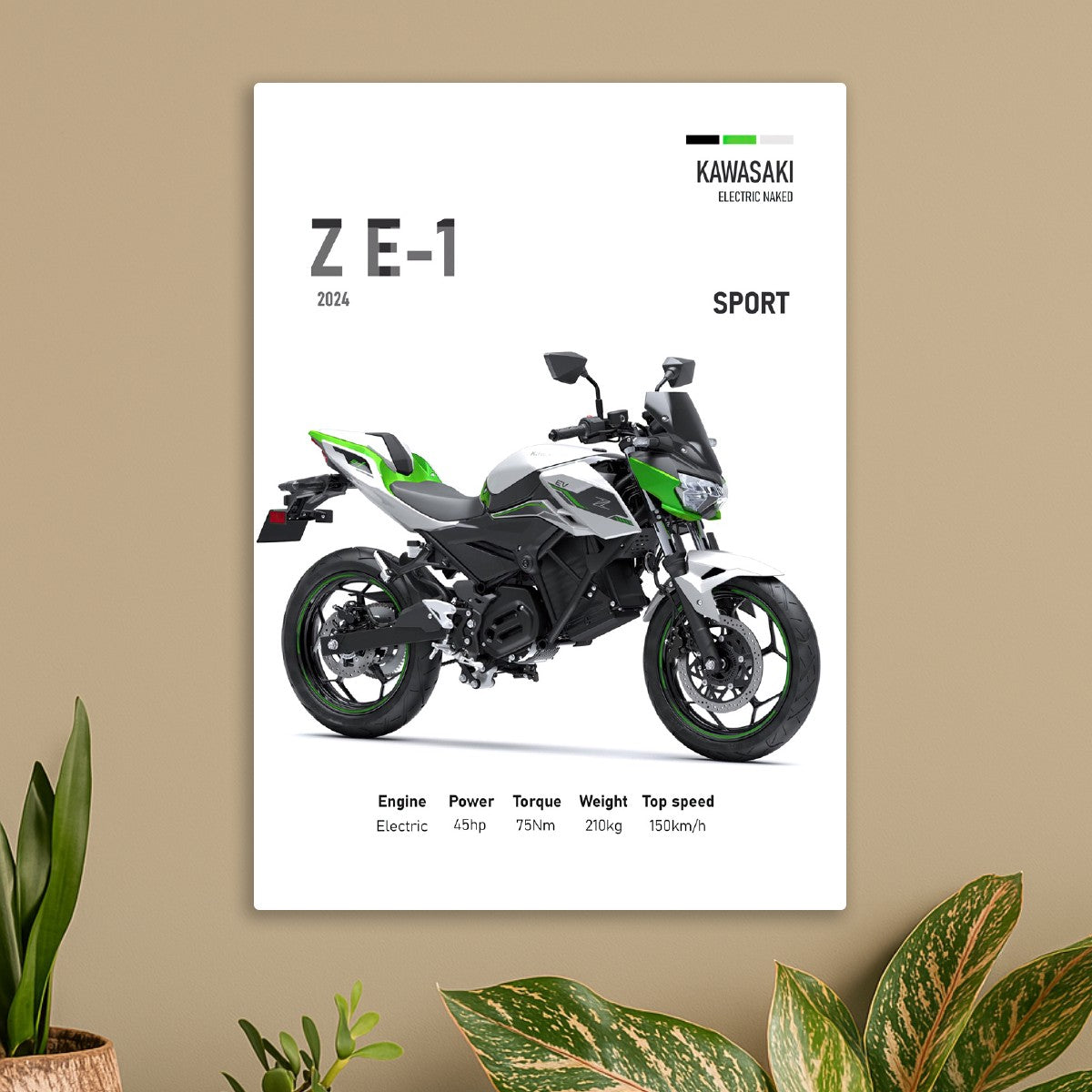 Kawasaki Z E-1 Sport