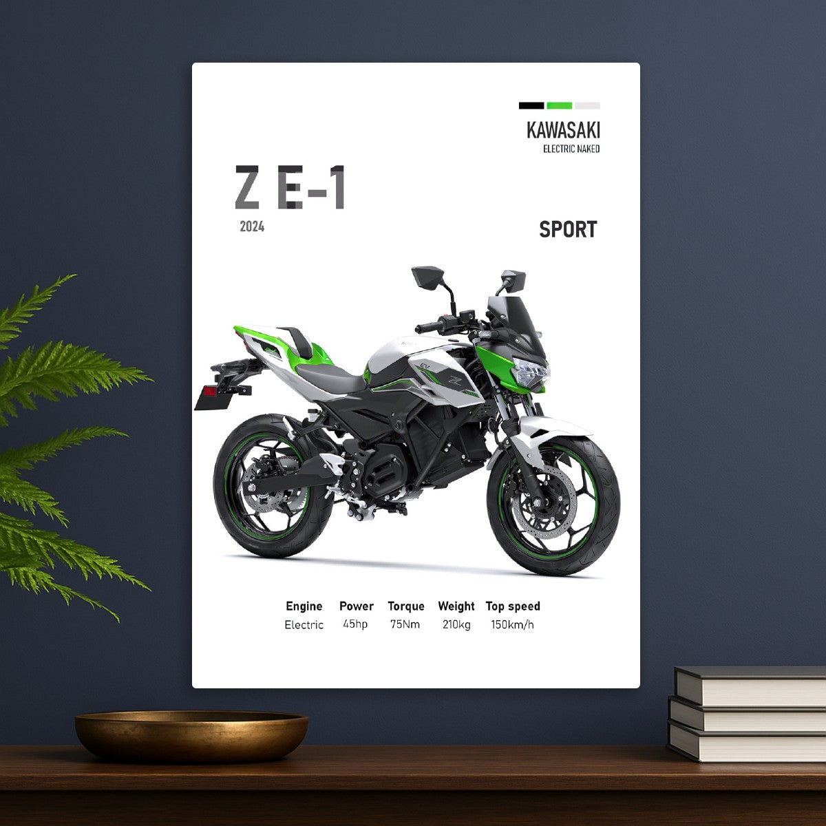 Kawasaki Z E-1 Sport