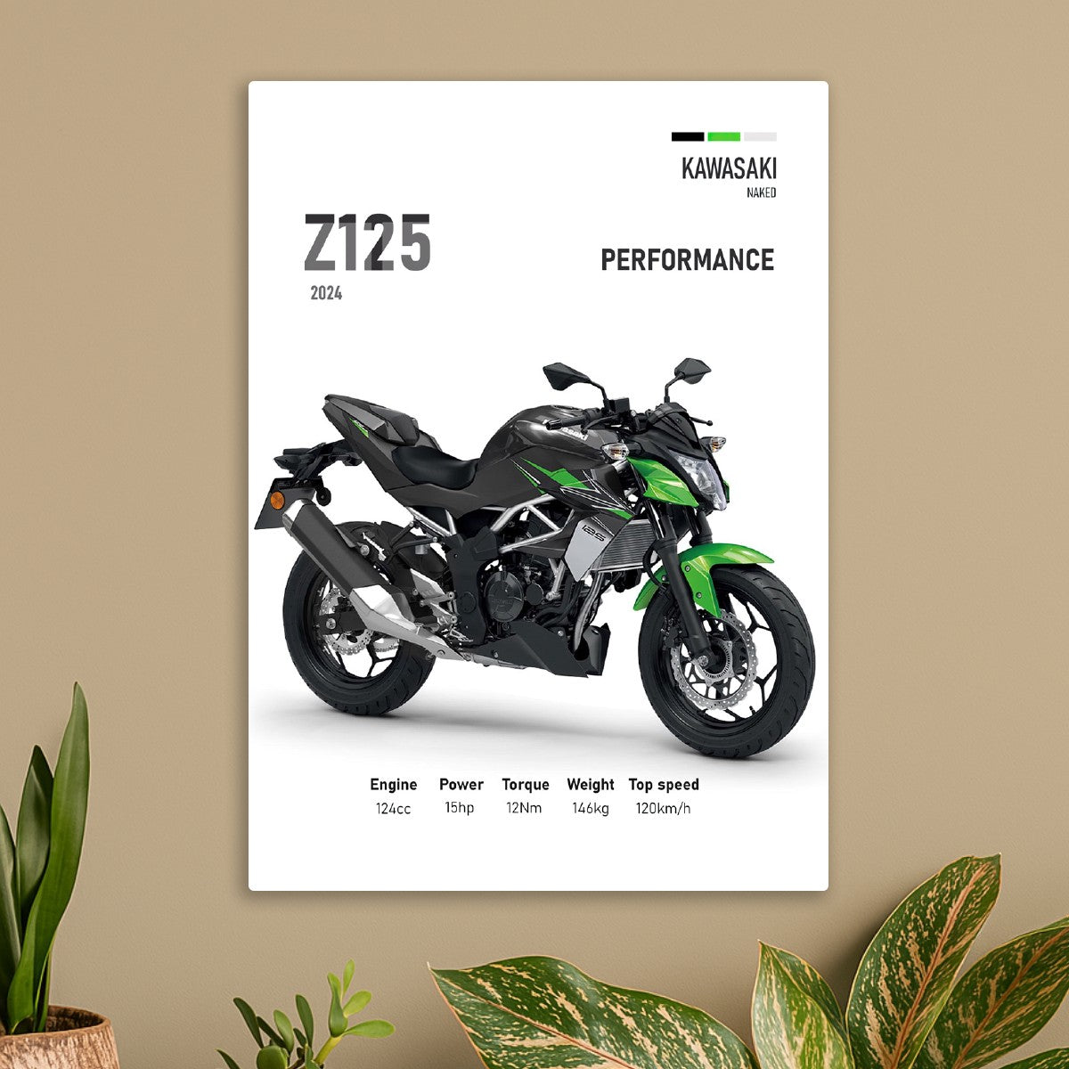 Kawasaki Z125 Perfomance