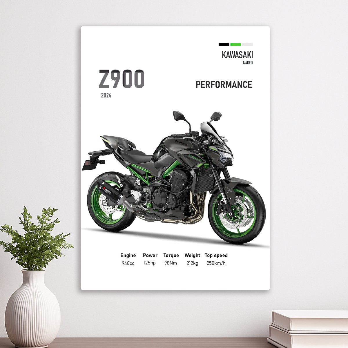 Kawasaki Z900 Perfomance