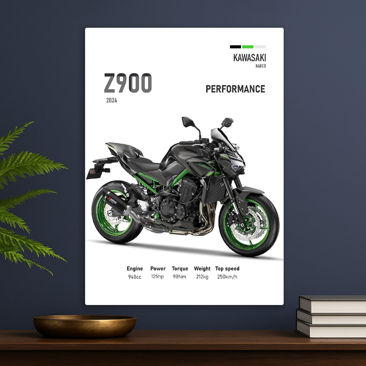 Kawasaki Z900 Perfomance