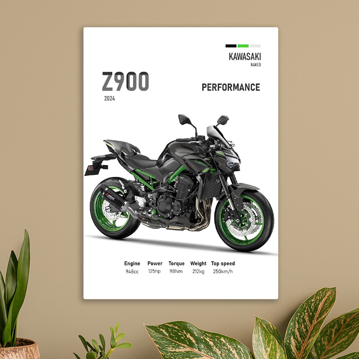 Kawasaki Z900 Perfomance