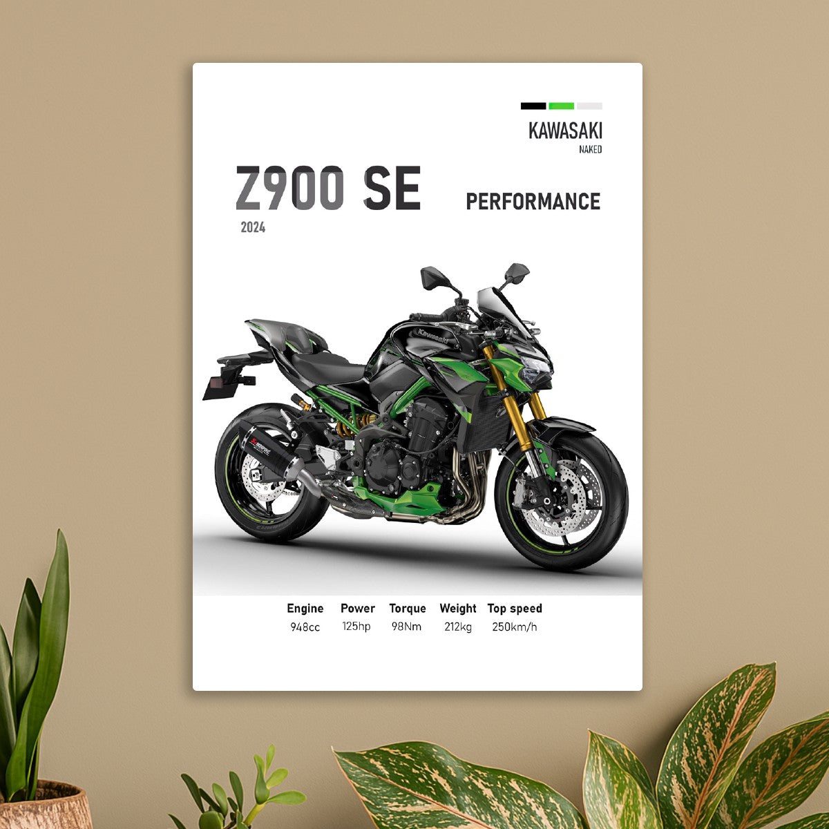 Kawasaki Z900 SE Perfomance