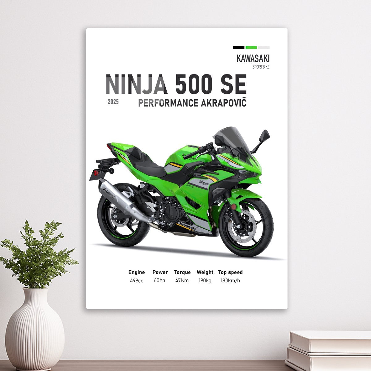 Kawasaki Ninja 500 SE 