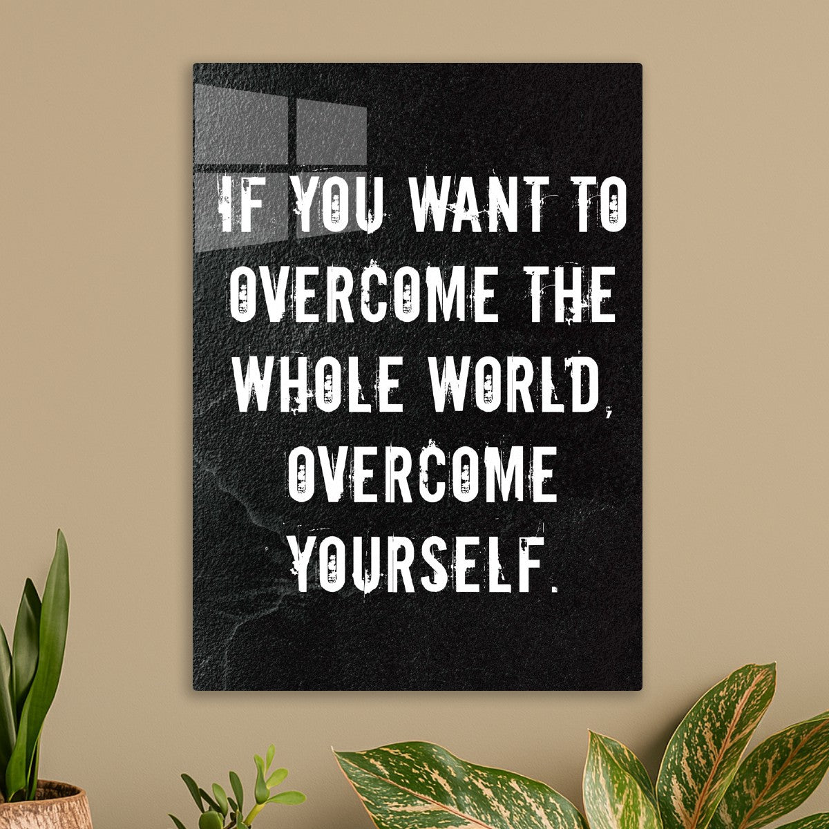 motivation