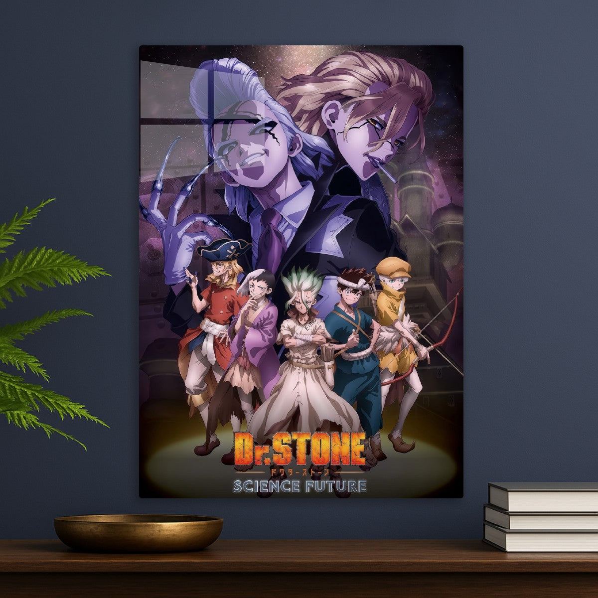 dr. stone