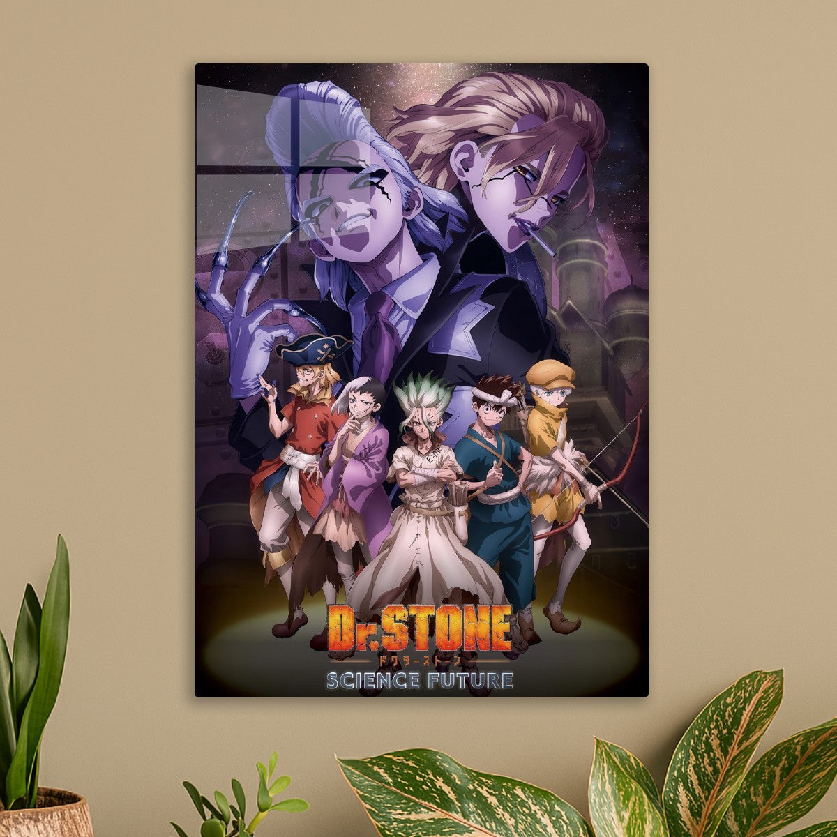 dr. stone