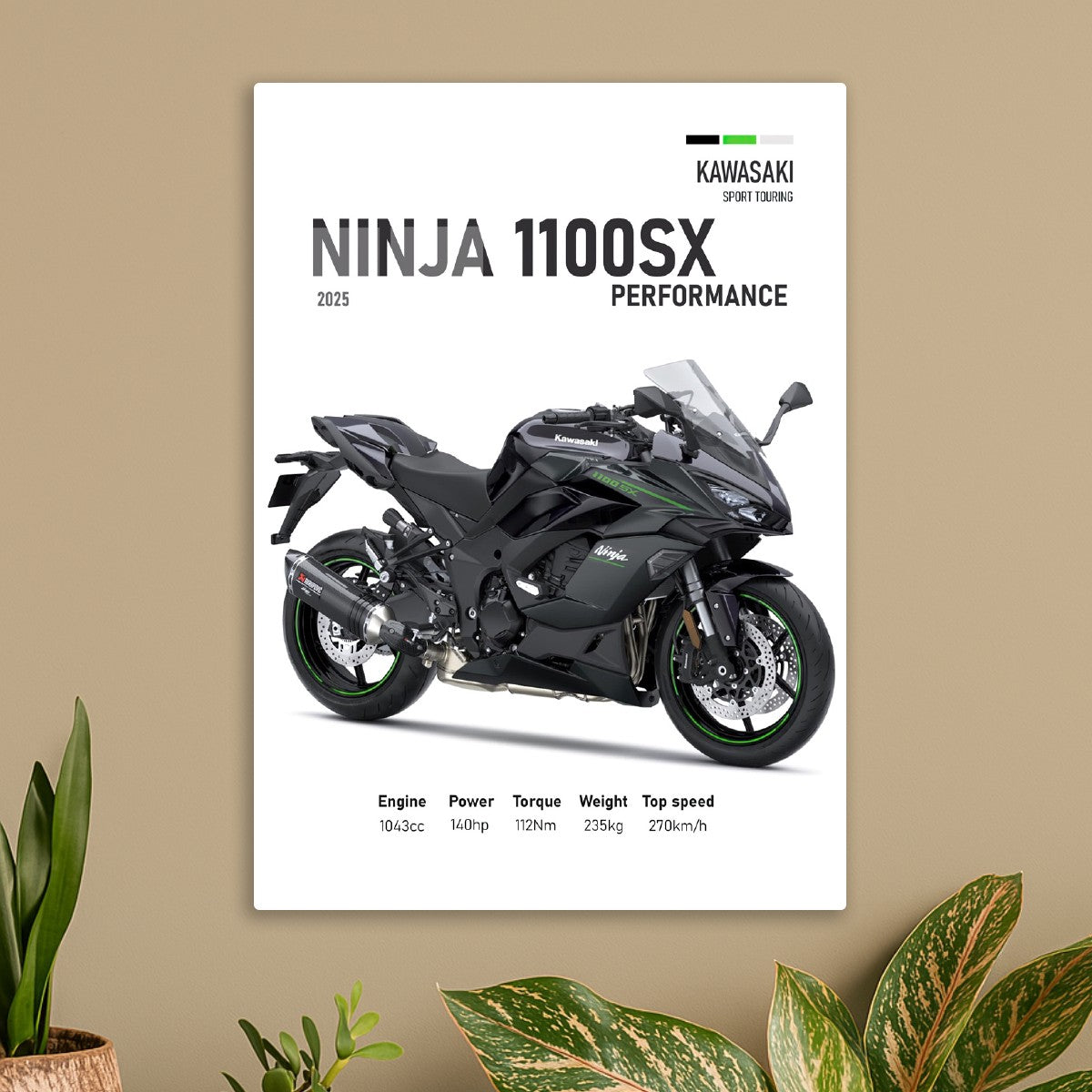 Kawasaki Ninja 1100SX Perfoman