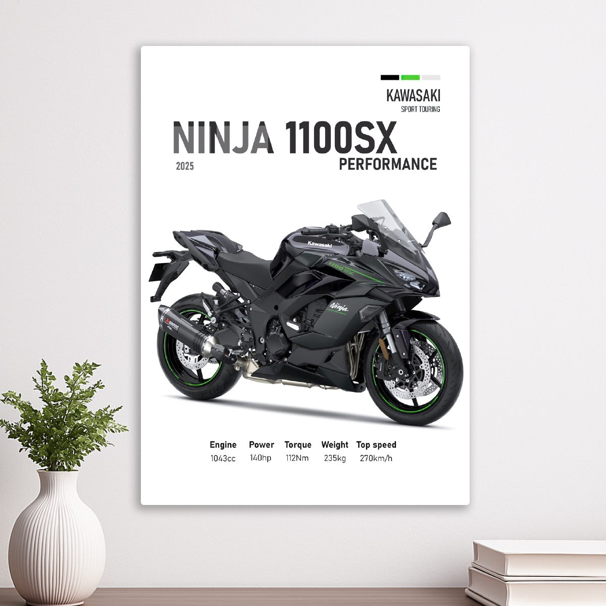 Kawasaki Ninja 1100SX Perfoman