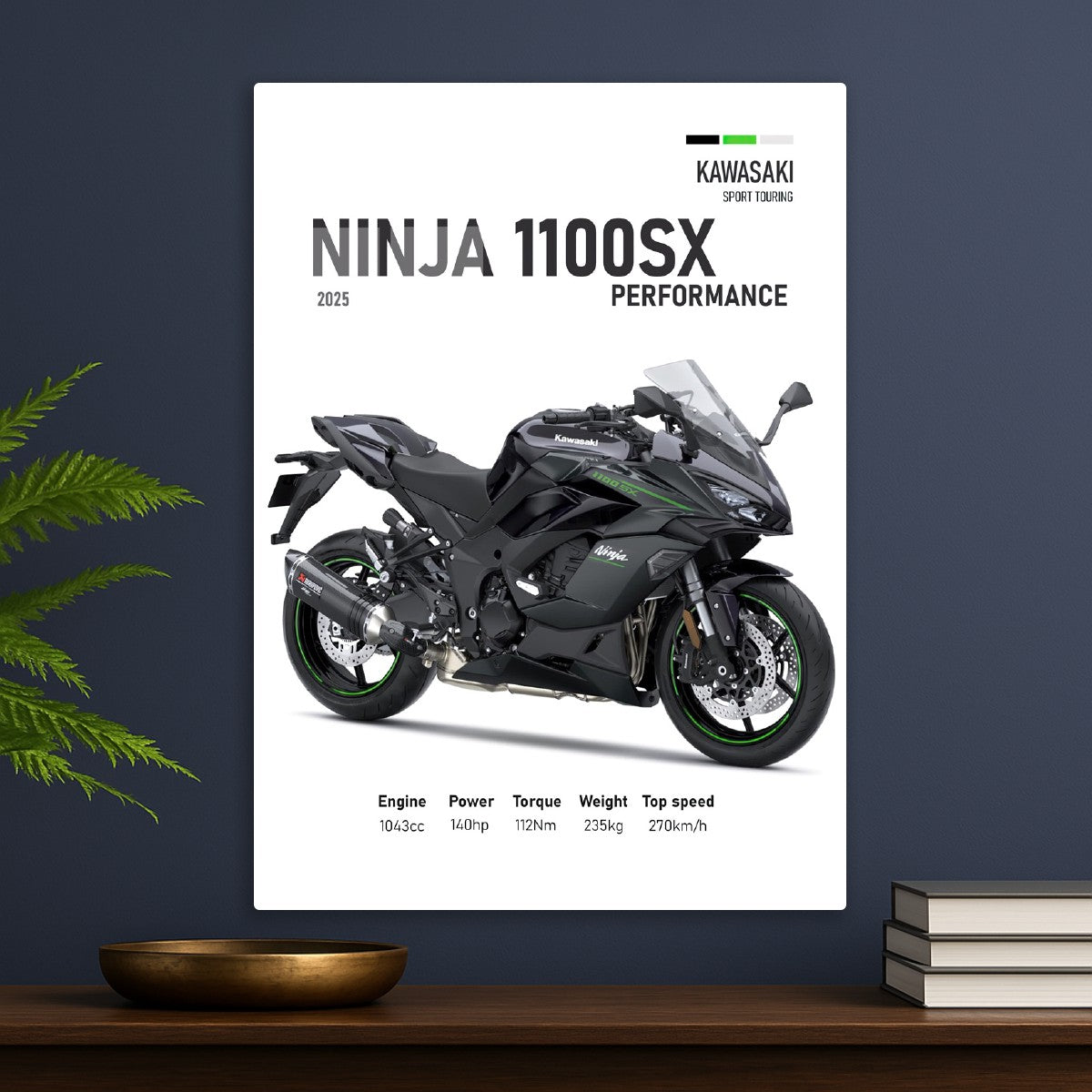 Kawasaki Ninja 1100SX Perfoman