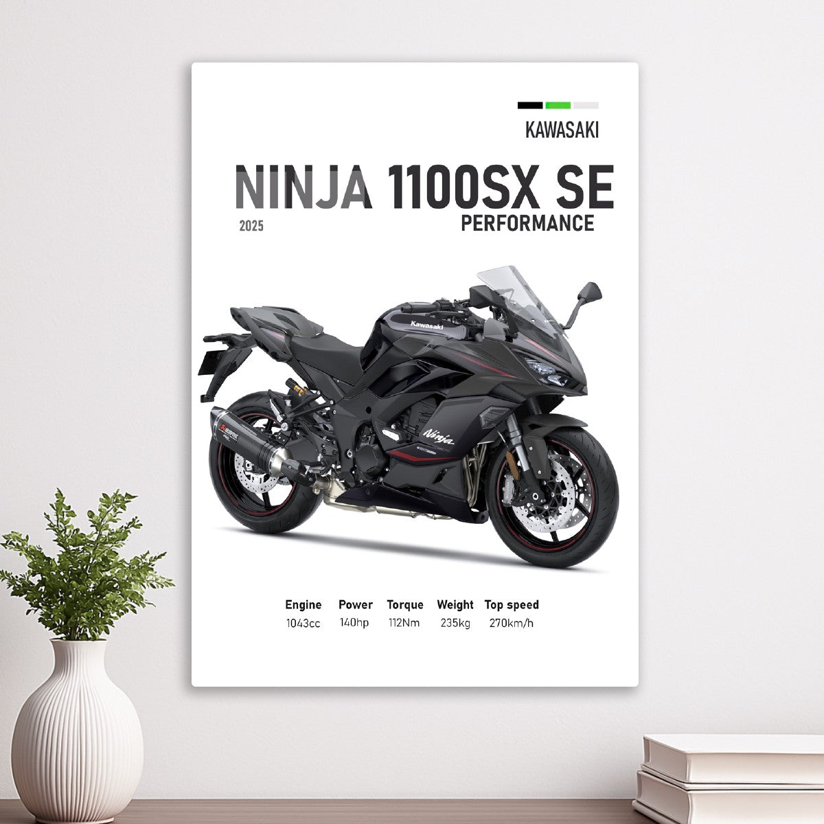 Kawasaki Ninja 1100SX SE