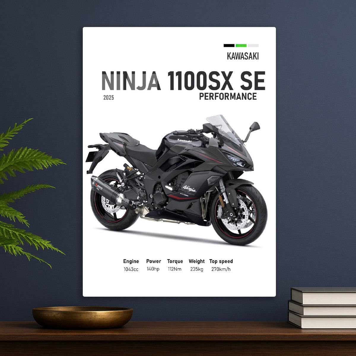 Kawasaki Ninja 1100SX SE