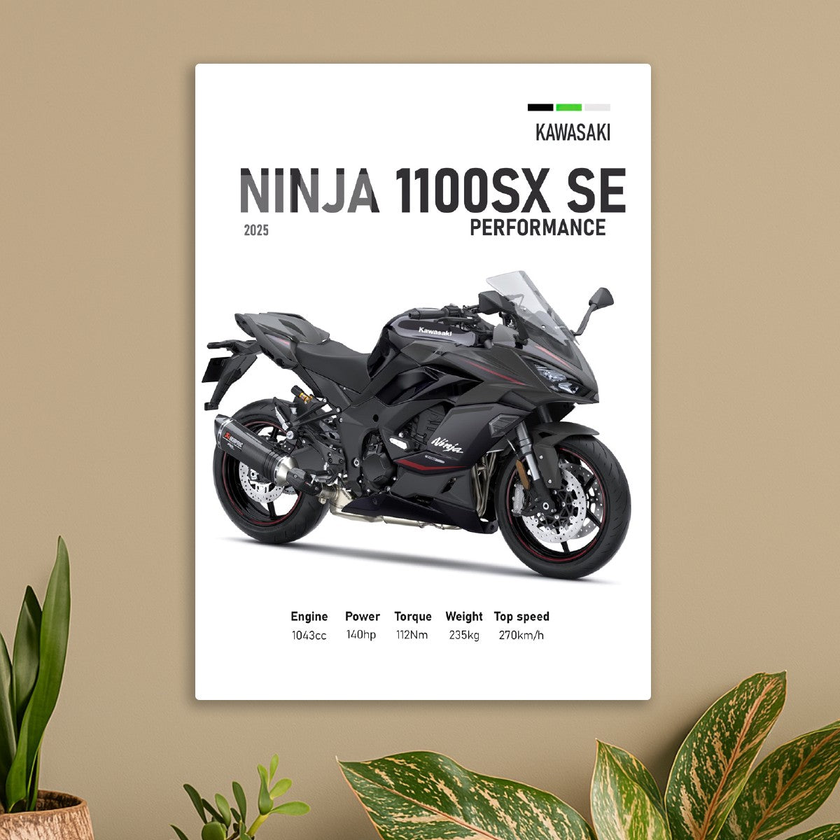 Kawasaki Ninja 1100SX SE