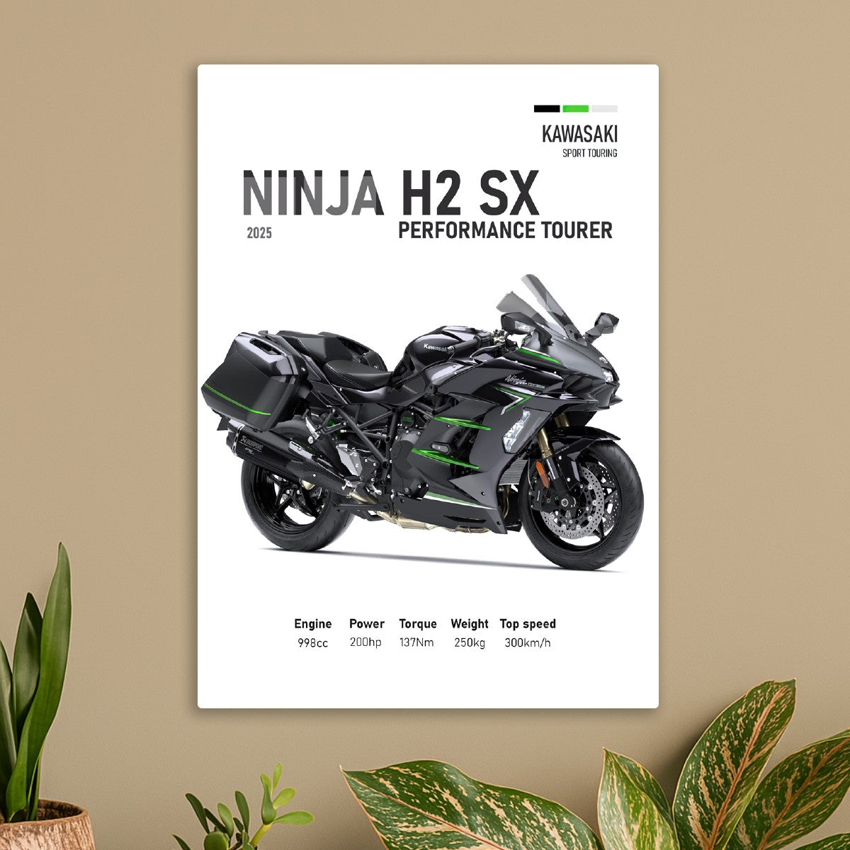 Kawasaki Ninja H2 SX