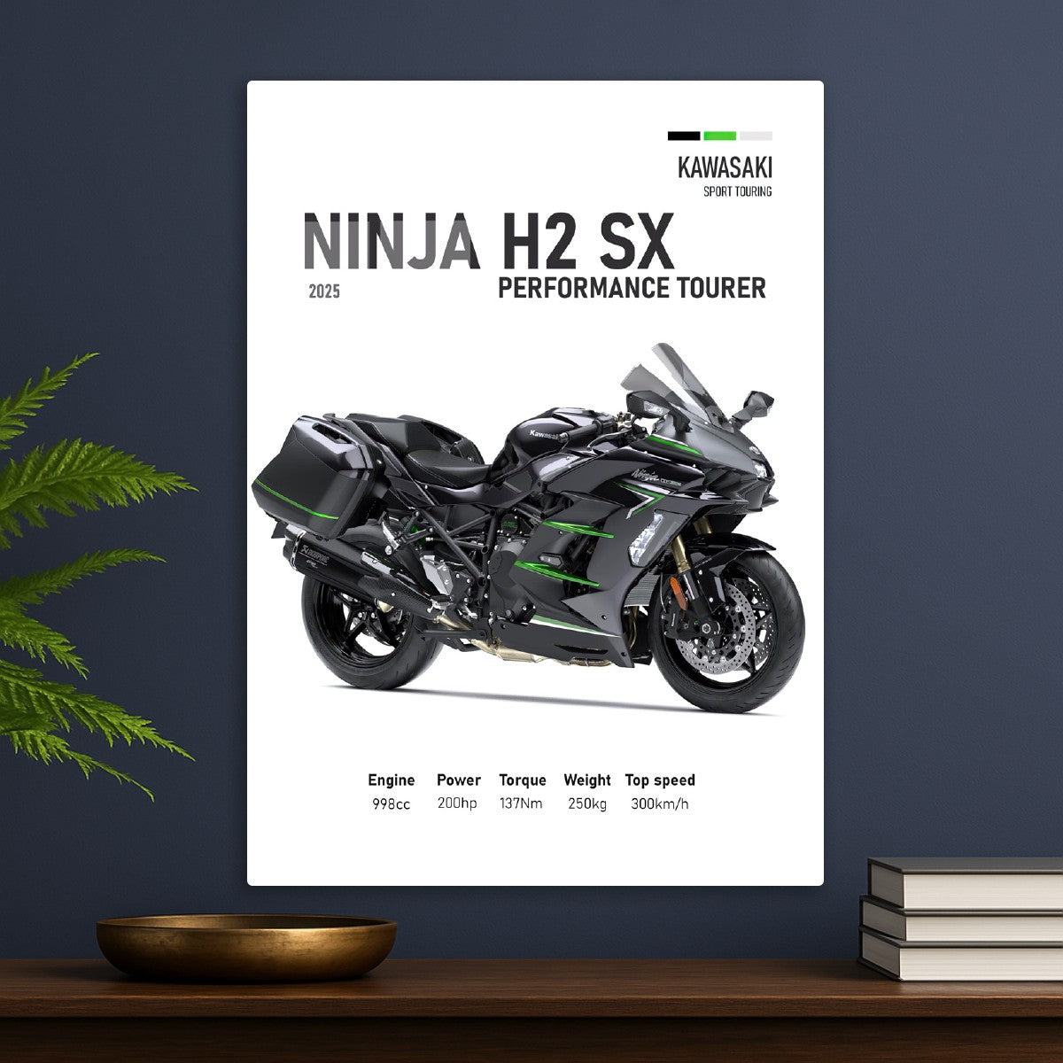 Kawasaki Ninja H2 SX