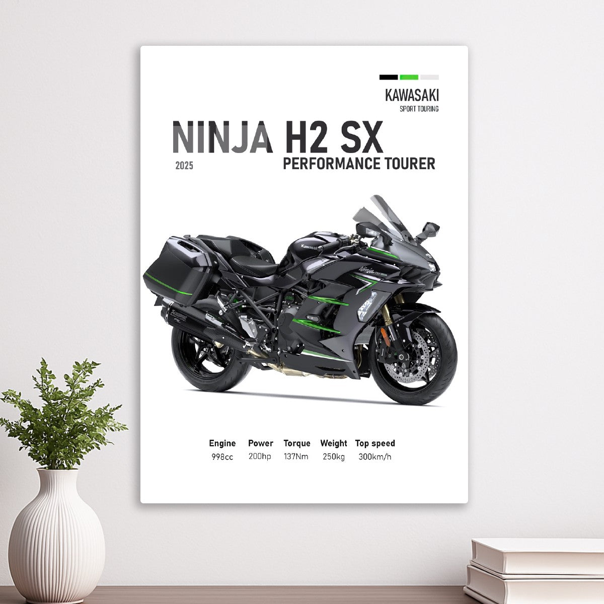 Kawasaki Ninja H2 SX