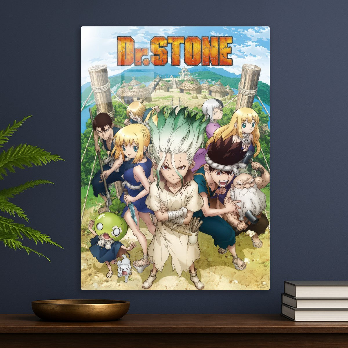 dr stone