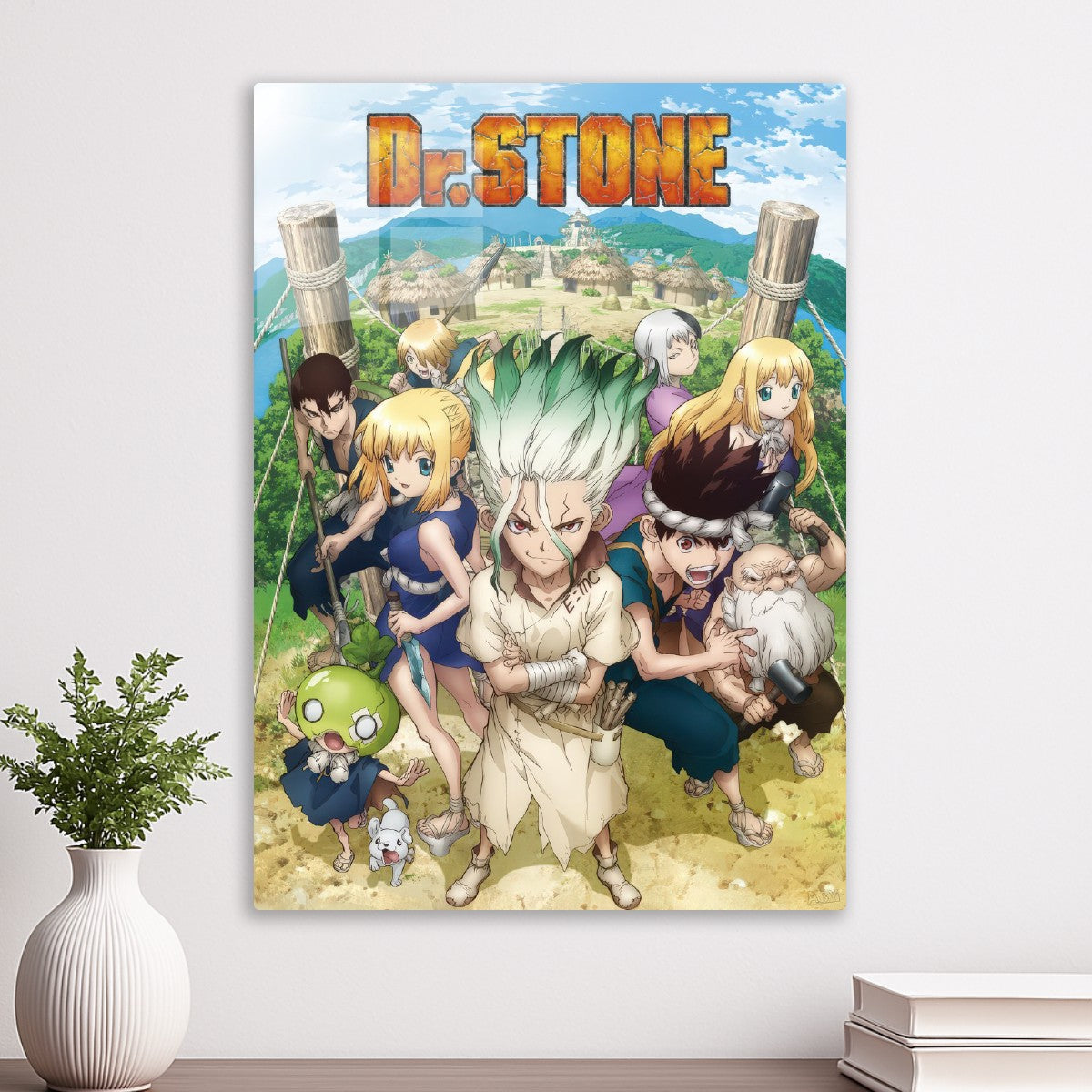 dr stone
