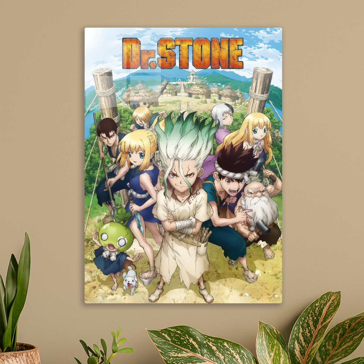 dr stone