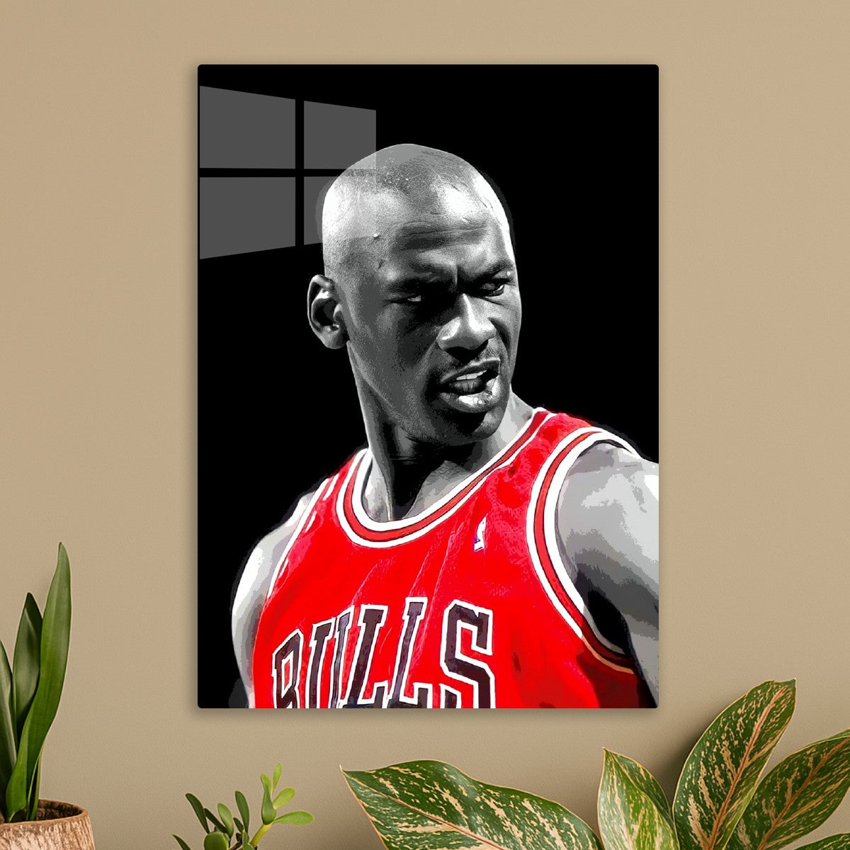Michael jordan