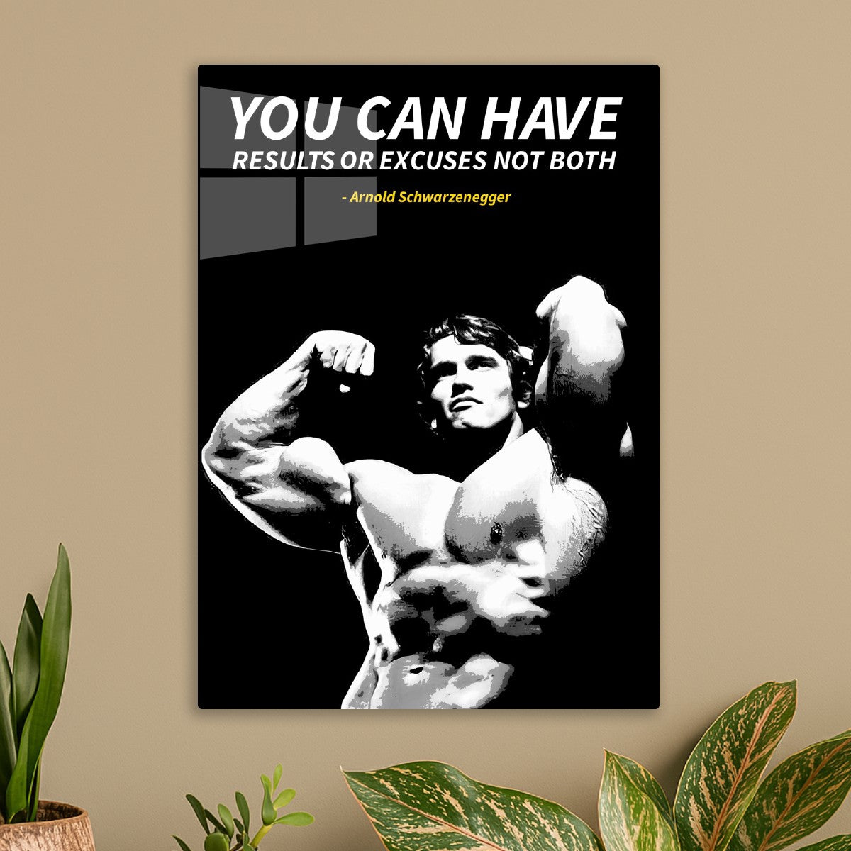 Arnold Schwarzenegger