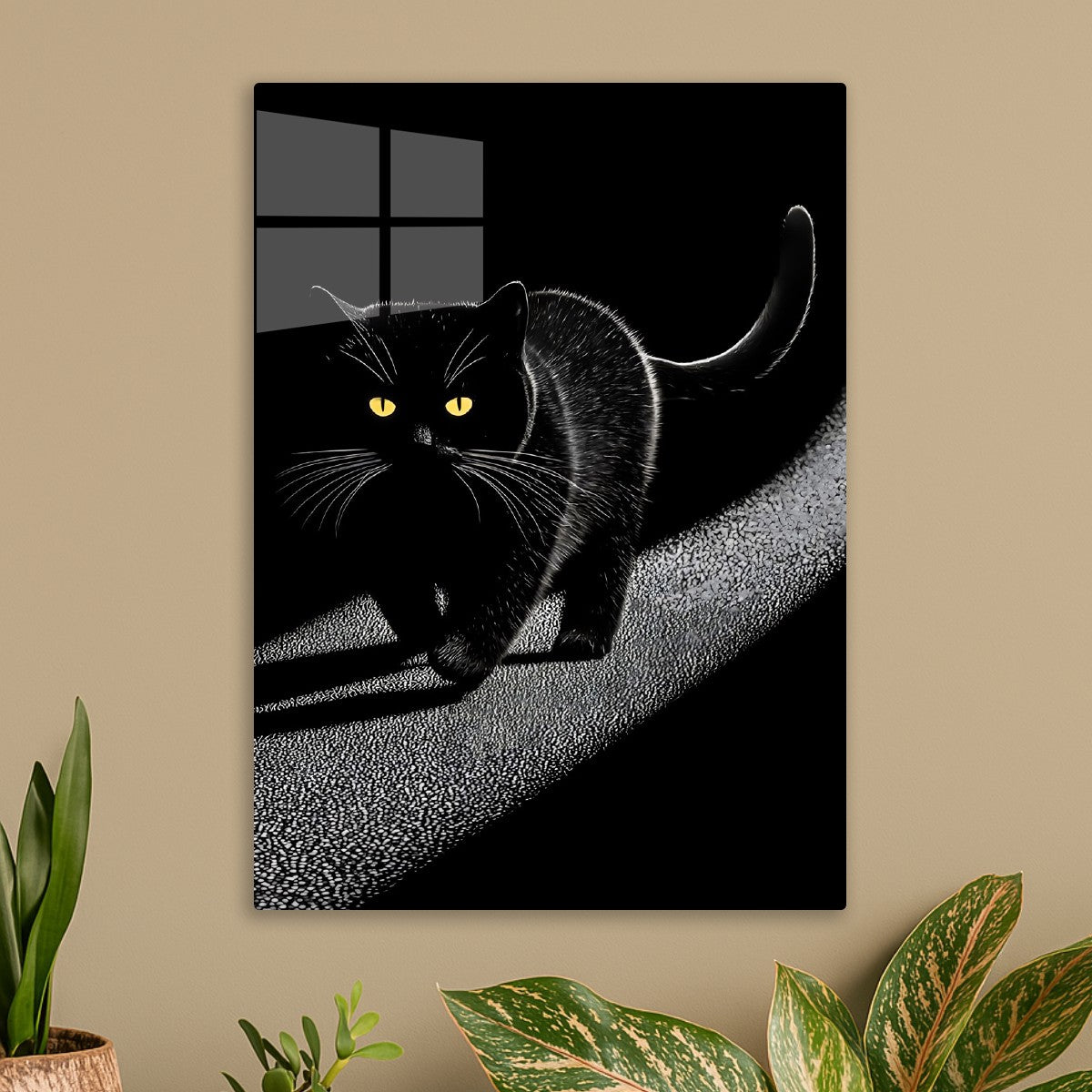 Black Cat